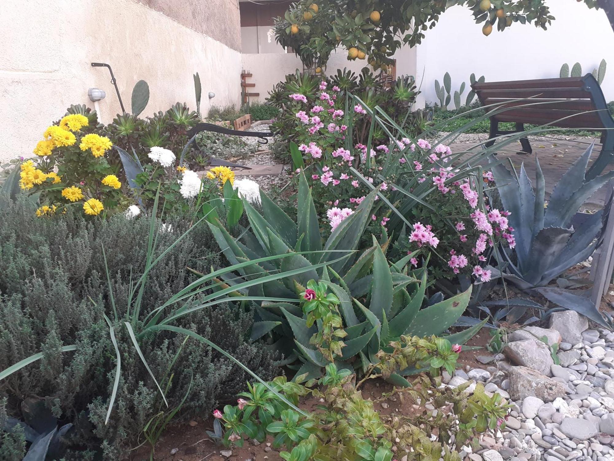 הוילה ארגוס Michael'S Greek House מראה חיצוני תמונה